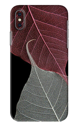 Leaf Pattern iPhone XS Back Skin Wrap