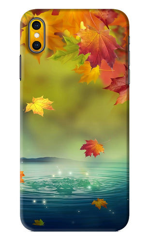 Flowers 1 iPhone XS Max Back Skin Wrap