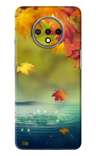 Flowers 1 OnePlus 7T Back Skin Wrap