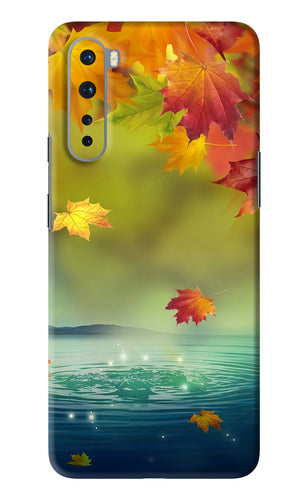 Flowers 1 OnePlus Nord Back Skin Wrap
