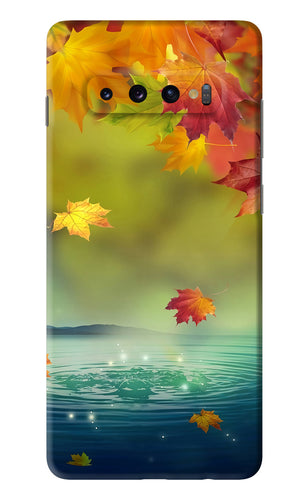 Flowers 1 Samsung Galaxy S10 Plus Back Skin Wrap