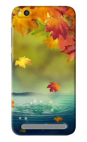 Flowers 1 Xiaomi Redmi 5A Back Skin Wrap