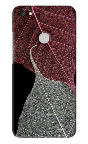 Leaf Pattern Xiaomi Redmi Y1 Back Skin Wrap