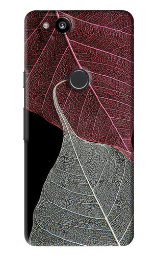 Leaf Pattern Google Pixel 2 Back Skin Wrap