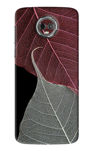 Leaf Pattern Motorola Moto E5 Plus Back Skin Wrap