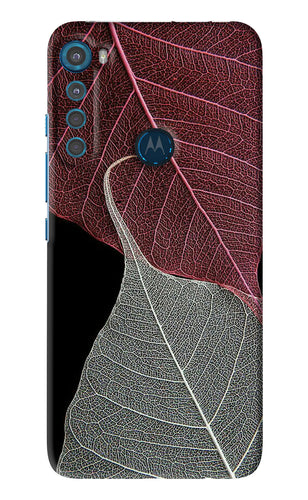 Leaf Pattern Motorola Moto One Fusion Plus Back Skin Wrap